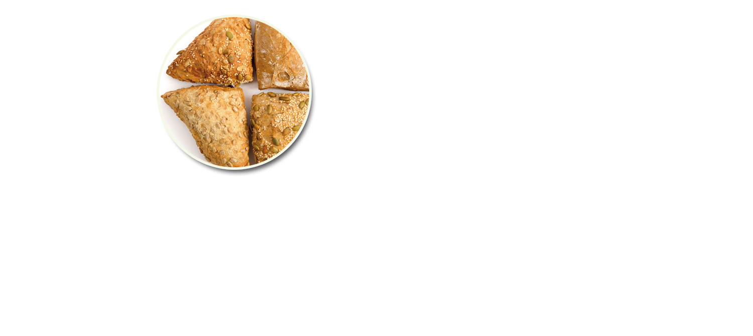 Vegan2-Slide02